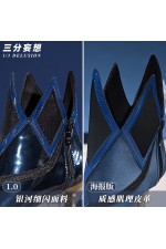 1/3 Delusion Honkai Star Rail Cerydra Cosplay Shoes